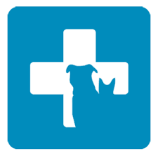 Pet Healthcare The Fastest Growing Pet-Friendly website in South Africa